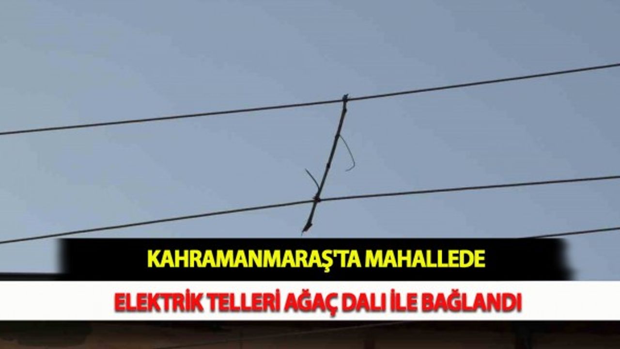 Kahramanmaraş'ta Mahallede Elektrik Telleri Ağaç Dalı İle Bağlandı
