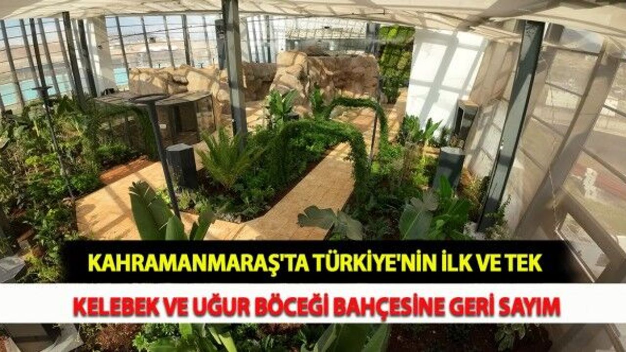 Kahramanmaraş'ta Türkiye'nin İlk ve Tek Kelebek ve Uğur Böceği Bahçesine Geri Sayım