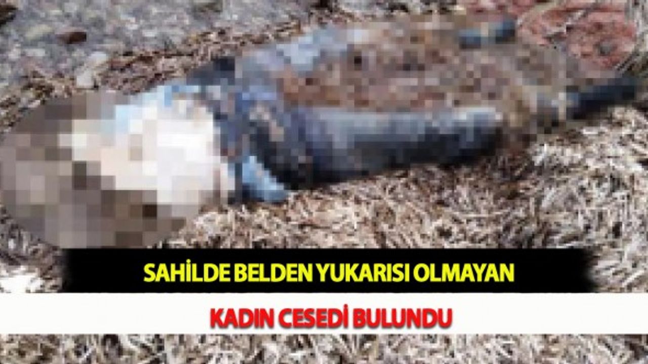 Sahilde Belden Yukarısı Olmayan Kadın Cesedi Bulundu