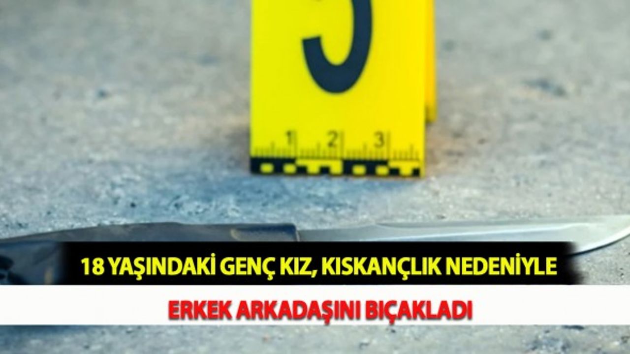 18 Yaşındaki Genç Kız, Kıskançlık Nedeniyle Erkek Arkadaşını Bıçakladı