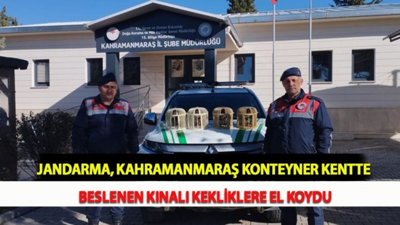 Jandarma, Kahramanmaraş Konteyner Kentte Beslenen Kınalı Kekliklere El Koydu