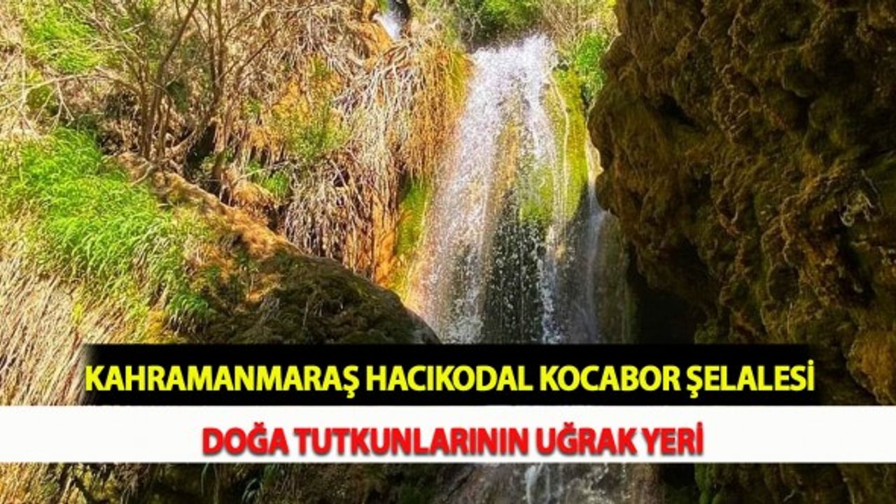 Kahramanmaraş Hacıkodal Kocabor Şelalesi Doğa Tutkunlarının Uğrak Yeri