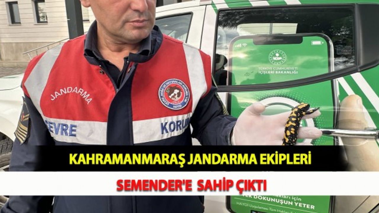 Kahramanmaraş Jandarma Ekipleri Semender'e  Sahip Çıktı