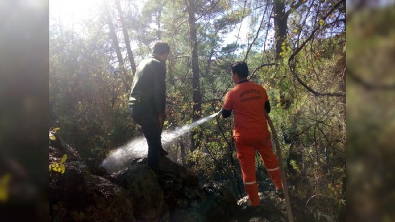 Ormanlık alanda çıkan yangın kontrol altına alındı