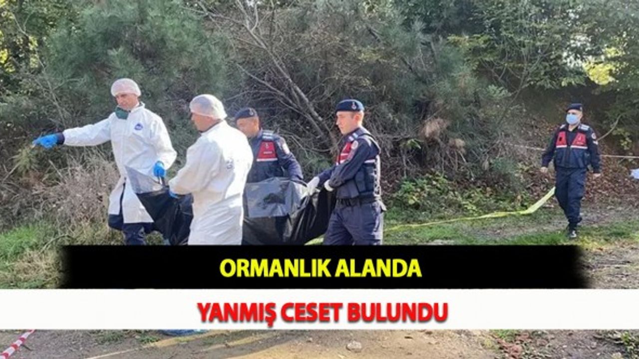 Ormanlık Alanda Yanmış Ceset Bulundu