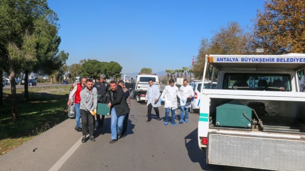 Bahçesine gitmek isterken otomobilin çarpmasıyla can verdi