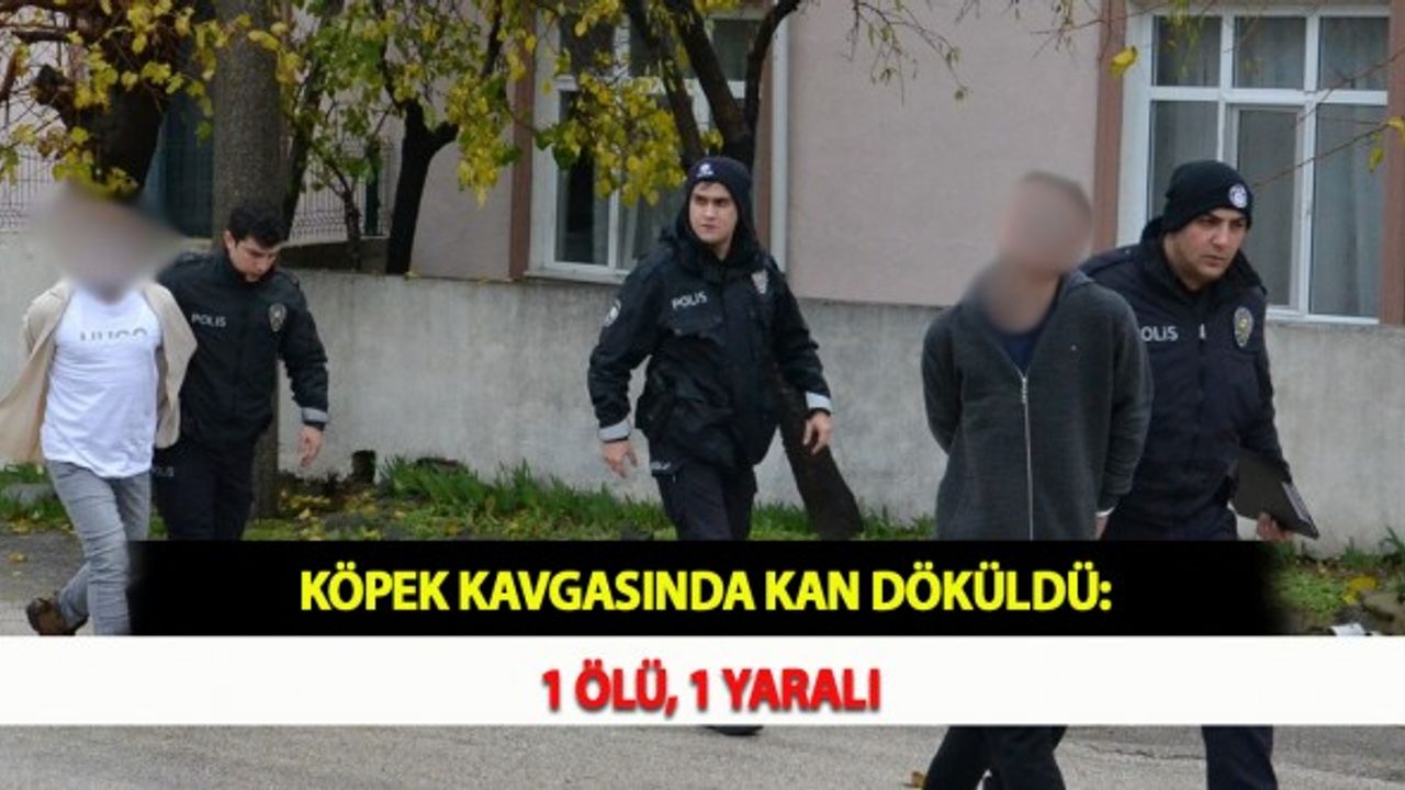 Köpek Kavgasında Kan Döküldü: 1 Ölü, 1 Yaralı
