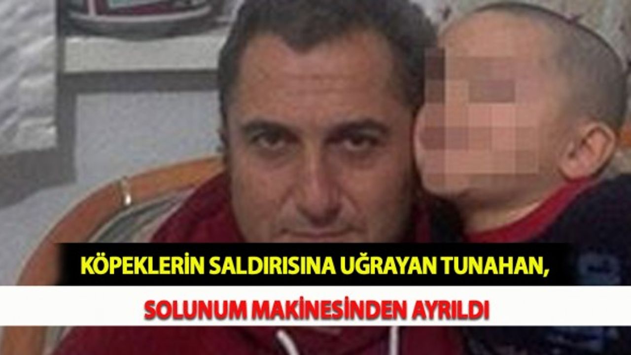 Köpeklerin Saldırısına Uğrayan Tunahan, Solunum Makinesinden Ayrıldı