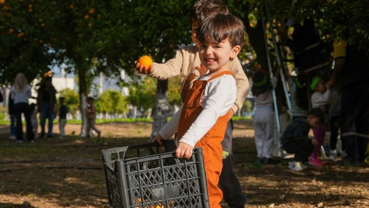 Tarsuslu minikler portakal hasadı yaptı