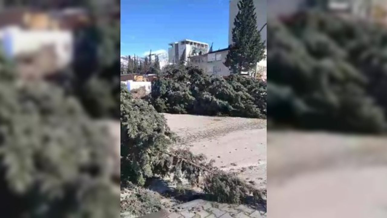 Kahramanmaraş'ta Şiddetli Rüzgar Ağaçları Kökünden Söktü