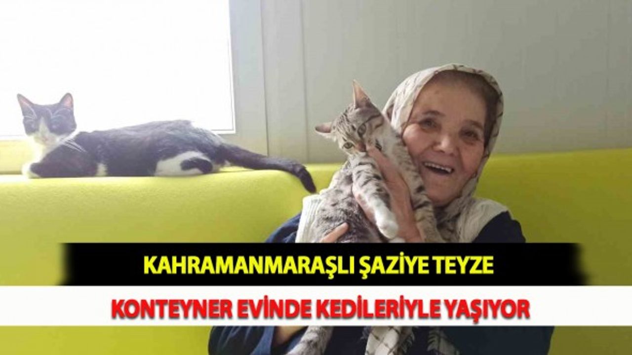 Kahramanmaraşlı Şaziye Teyze Konteyner Evinde Kedileriyle Yaşıyor