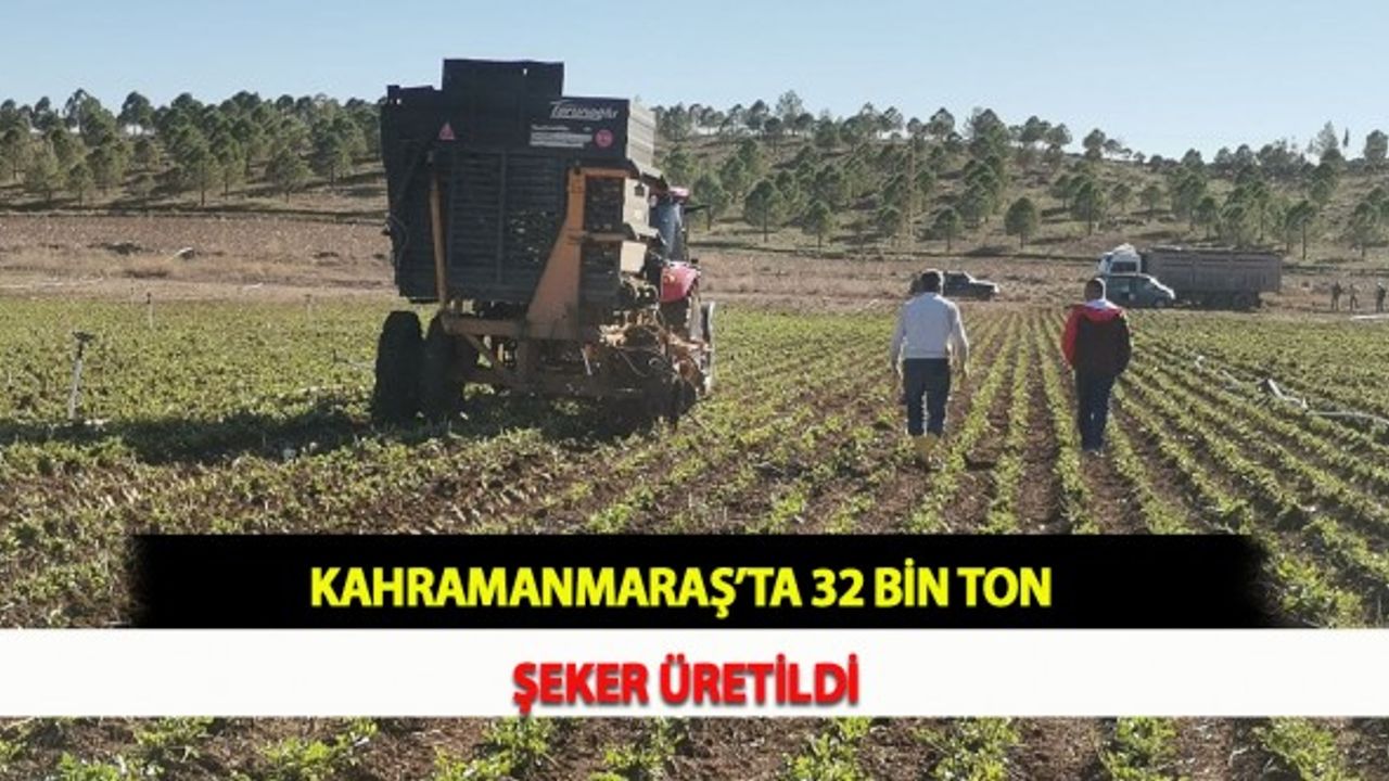 Kahramanmaraş’ta 32 Bin Ton Şeker Üretildi!
