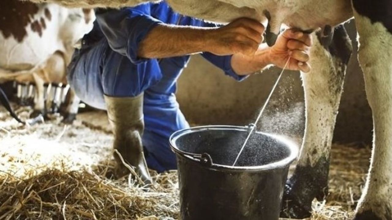 20 Yaşındaki Genç İnekleri Sağmak İsterken Elektrik Akımına Kapılarak Can Verdi