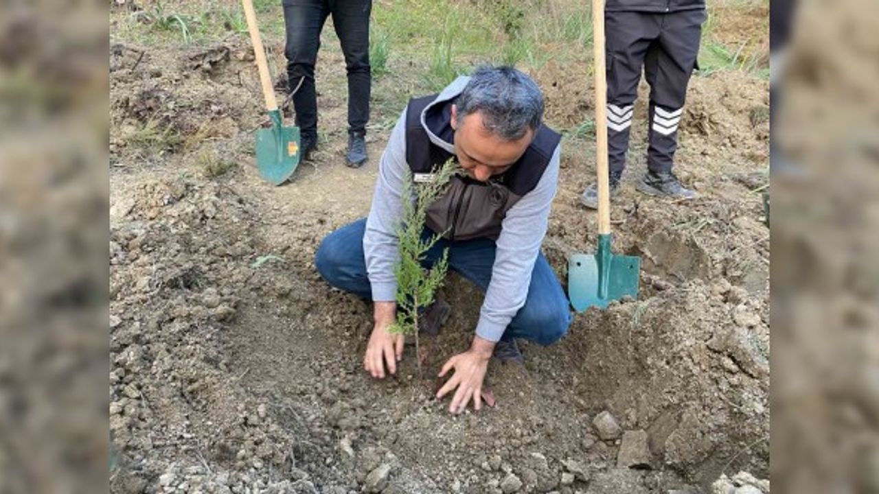 Kahramanmaraş'ta Yanan Ormanlık Alanları Basın Mensupları Yeşertiyor