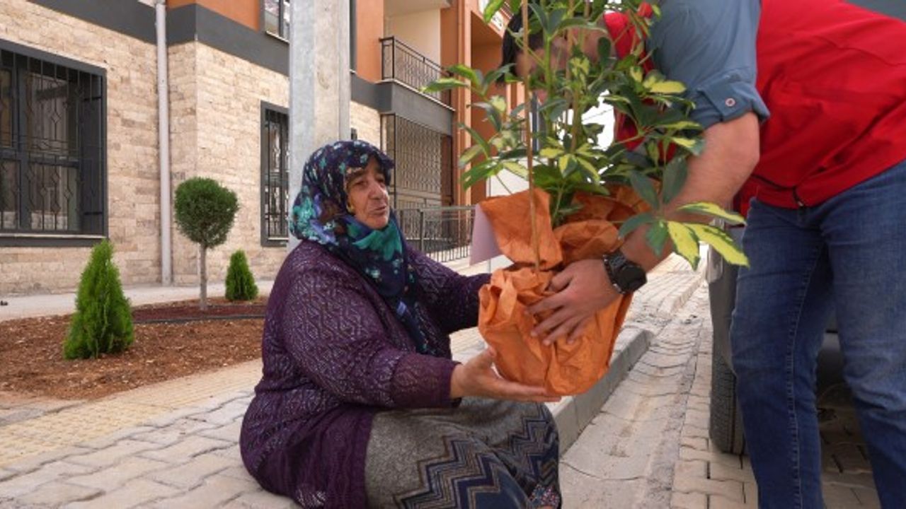 Kahramanmaraş'ta Tebrik Çiçekleri Depremzedelerin Yeni Evlerini Süsledi