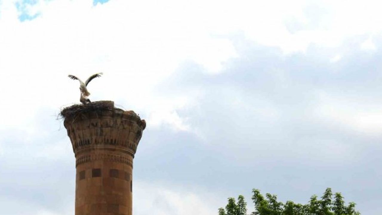 Kahramanmaraş'ta Yıkılan Minare Leyleklerin Yuvası Oldu