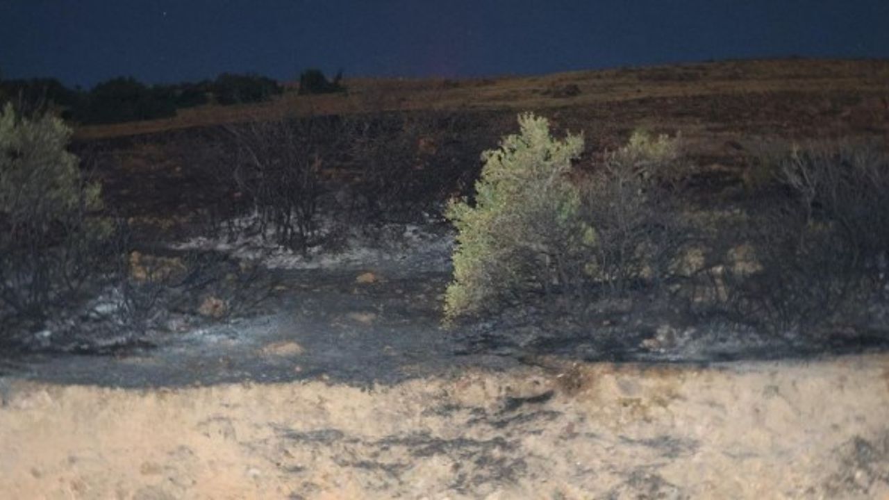 Kahramanmaraş'ta Makilik Yangını: 10 Hektarlık Alan Zarar Gördü