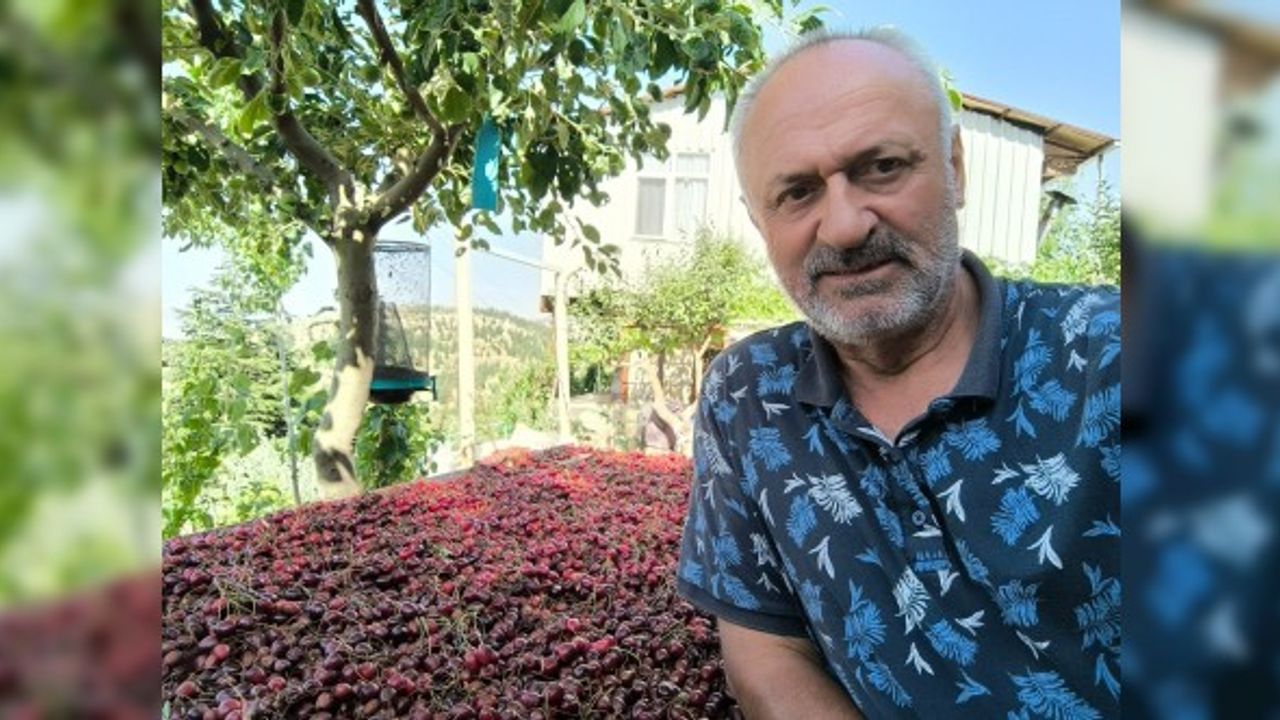 Kahramanmaraş'ta Üretilen Kiraz Bahçede 27.5 Markette 60 TL!