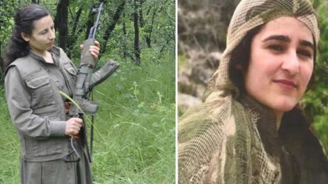 Buluşma Yerine Gelen Teröristler Karşılarında MİT'i Buldu