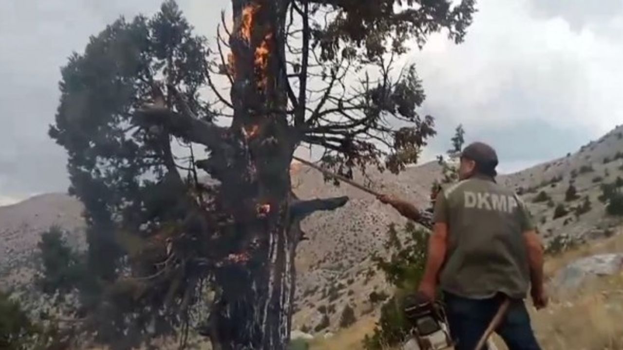 Kahramanmaraş'ta Yıldırım İsabet Etmesi Sonucu Bir Ağaç Alev Aldı