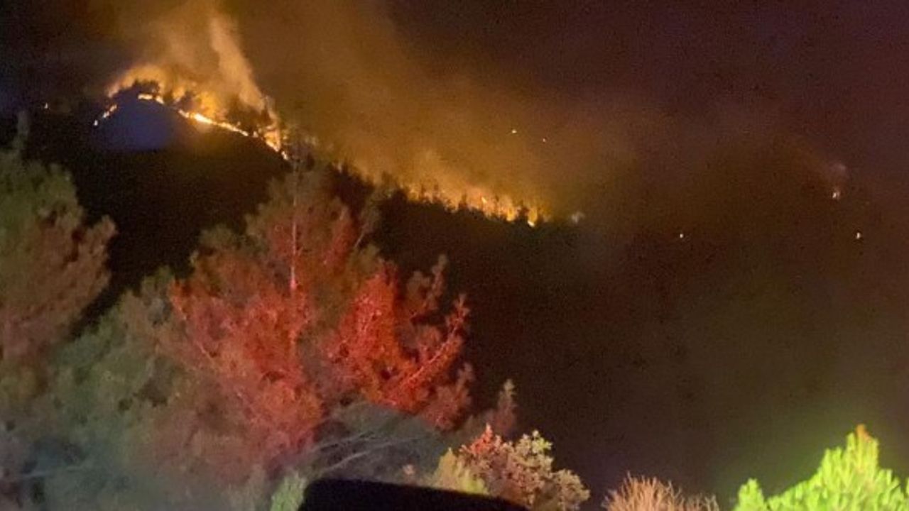 Kahramanmaraş’taki Orman Yangını 18 Saat Sonra Kontrol Altına Alındı