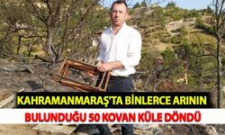Kahramanmaraş'ta Binlerce Arının Bulunduğu 50 Kovan Küle Döndü