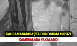 Kahramanmaraş'ta Dondurma Hırsızı Kameralara Yakalandı