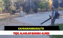 Kahramanmaraş'ta Yeşil Alanlar Bakıma Alındı
