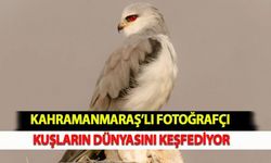 Kahramanmaraş’lı Fotoğrafçı Kuşların Dünyasını Keşfediyor
