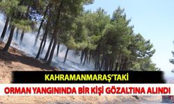Kahramanmaraş’taki Orman Yangınında Bir Kişi Gözaltına Alındı