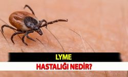Lyme hastalığı nedir?