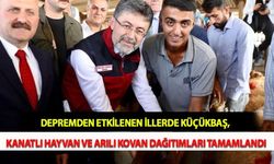 Depremden Etkilenen İllerde Küçükbaş, Kanatlı Hayvan ve Arılı Kovan Dağıtımları Tamamlandı