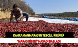 Kahramanmaraş'ın Tescilli Ürünü "Maraş Biberi" Hasadı Başladı