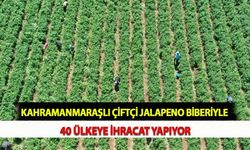 Kahramanmaraşlı Çiftçi Jalapeno Biberiyle 40 Ülkeye İhracat Yapıyor