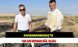 Kahramanmaraş’ta 150 Arı Kovanı Kül Oldu