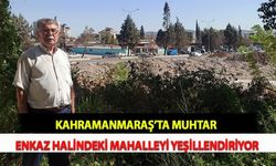 Kahramanmaraş’ta Muhtar Enkaz Halindeki Mahalleyi Yeşillendiriyor