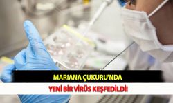 Mariana Çukuru'nda Yeni Bir Virüs Keşfedildi!