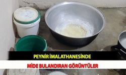 Peynir İmalathanesinde Mide Bulandıran Görüntüler