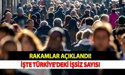 Rakamlar Açıklandı: İşte Türkiye'deki İşsiz Sayısı