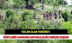 Teslim Olan Terörist: Kürtlerin Hakkının Savunulduğu Gerçek Dışıdır