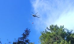 Alanya'daki orman yangını kontrol altına alındı