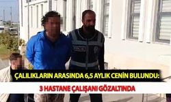 Çalılıkların Arasında 6,5 Aylık Cenin Bulundu: 3 Hastane Çalışanı Gözaltında