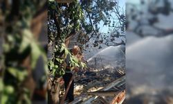 Hatay’da bir çadır yanarak kullanılamaz hale geldi