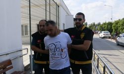 Kadının çığlık sesisin duydu, kapıya çıkıp canından oldu
