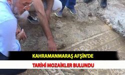 Kahramanmaraş Afşin'de Tarihi Mozaikler Bulundu