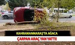 Kahramanmaraş'ta Ağaca Çarpan Araç Yan Yattı