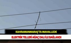 Kahramanmaraş'ta Mahallede Elektrik Telleri Ağaç Dalı İle Bağlandı