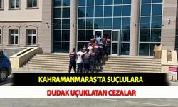Kahramanmaraş'ta Suçlulara Dudak Uçuklatan Cezalar