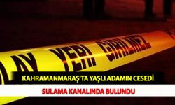 Kahramanmaraş'ta Yaşlı Adamın Cesedi Sulama Kanalında Bulundu