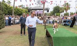 ‘Mersin Pati Festivali' renkli görüntülere sahne oldu